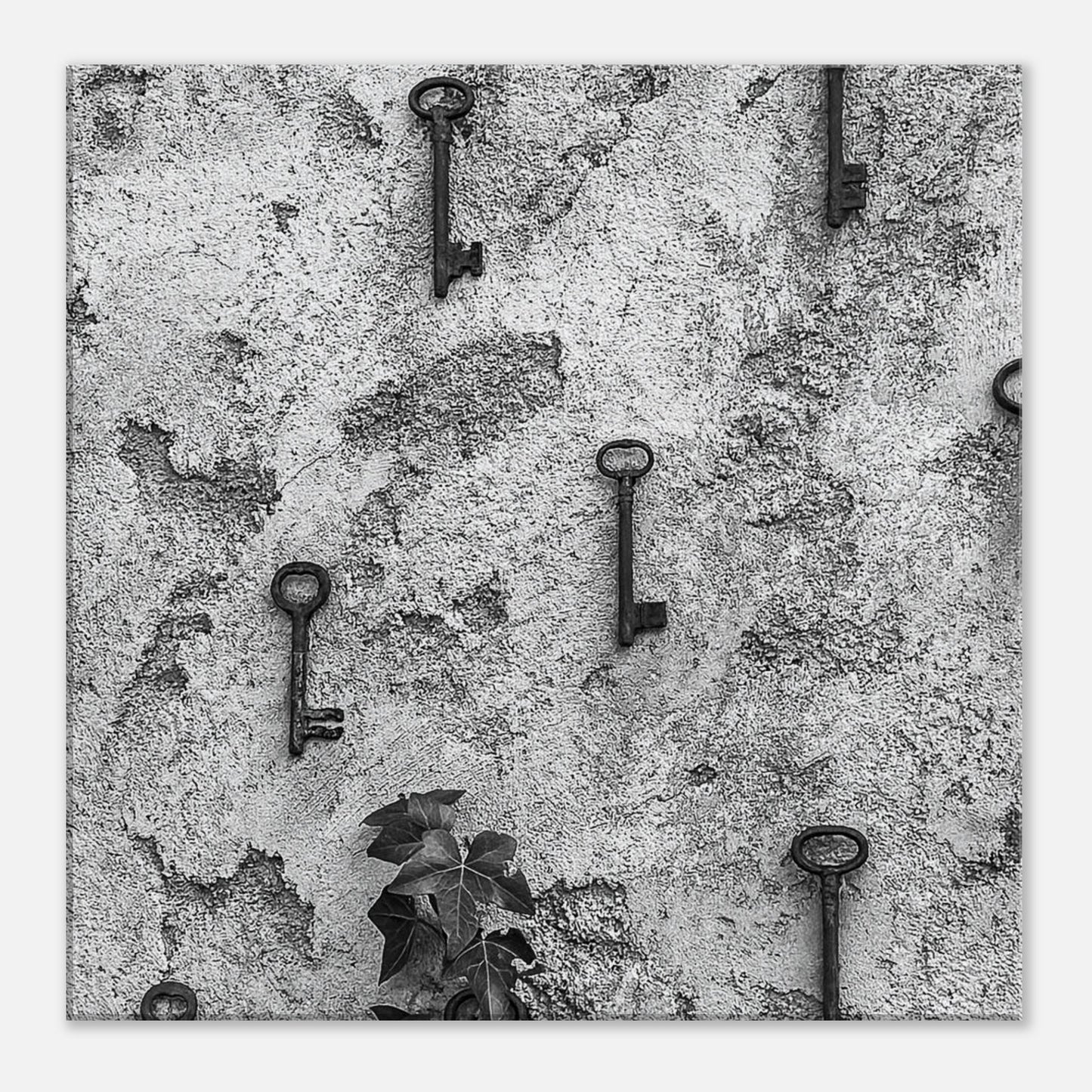 0bfd52f4-b933-4242-b7cc-c6ce60cba9a8