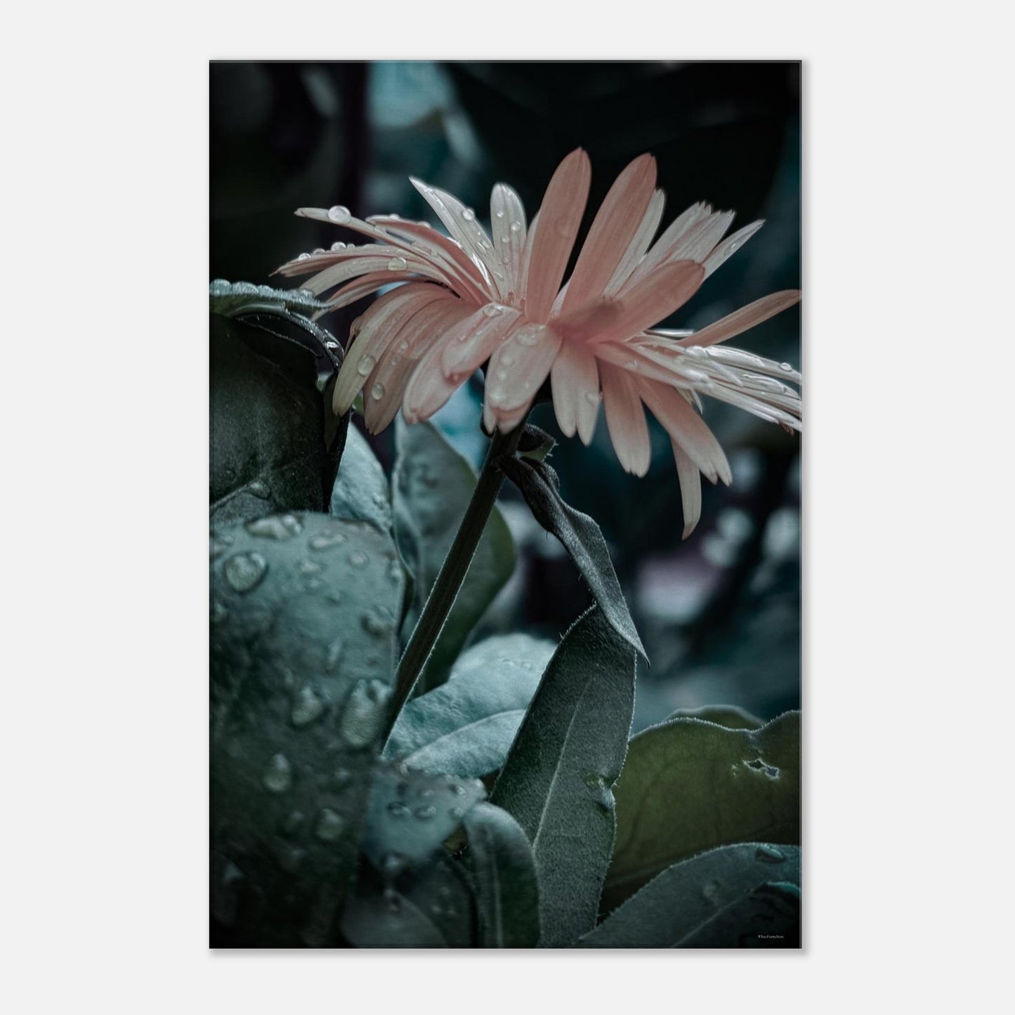 0c080105-1b42-4418-8255-b86a17776572