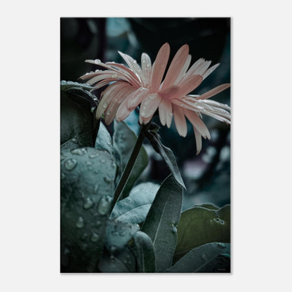 0c080105-1b42-4418-8255-b86a17776572