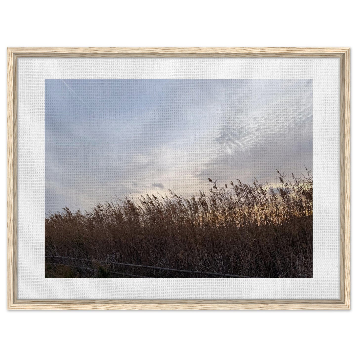 0c2feaf8-0107-499d-ba6a-655eac512d23