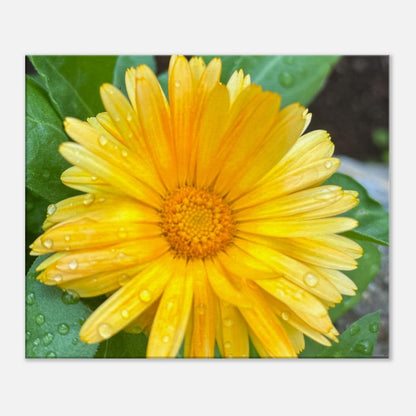 0c31b470-8ded-4d8f-95d0-1a10f1603983