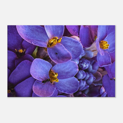 0c5b5c9a-d179-4bd2-8af3-2b7f04335cb3