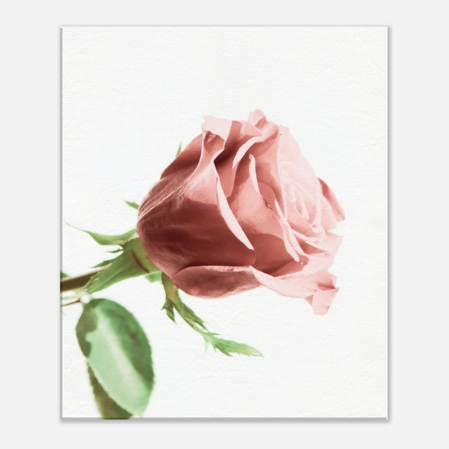 0c71a51b-03fb-45b1-87a8-a72e4c615645