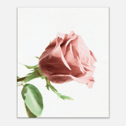 0c71a51b-03fb-45b1-87a8-a72e4c615645