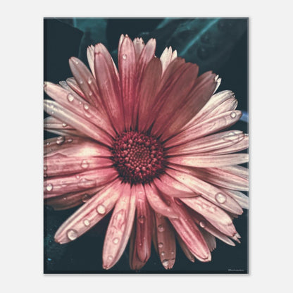 0c8383d1-da07-490a-bd74-a41495bf1cb5