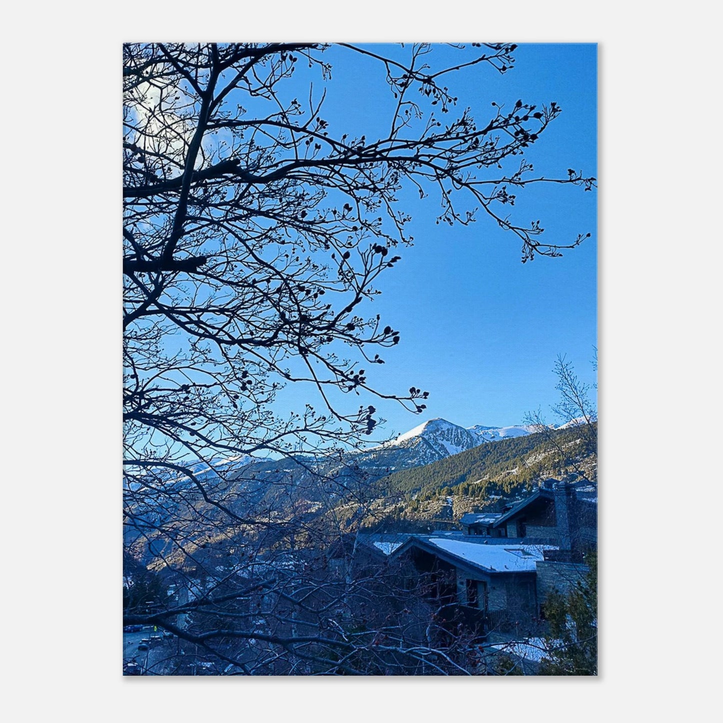 0c8518f6-f810-4905-9435-748819b1cf36