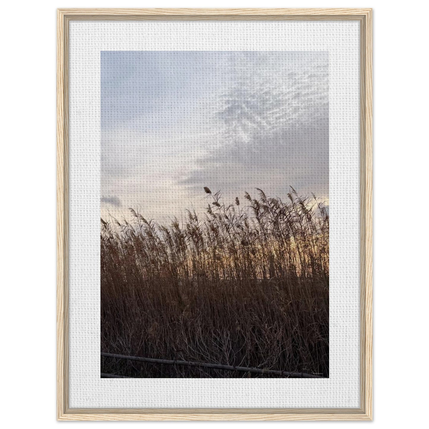 0ca7d801-35f6-412d-8382-4fbe72328fee