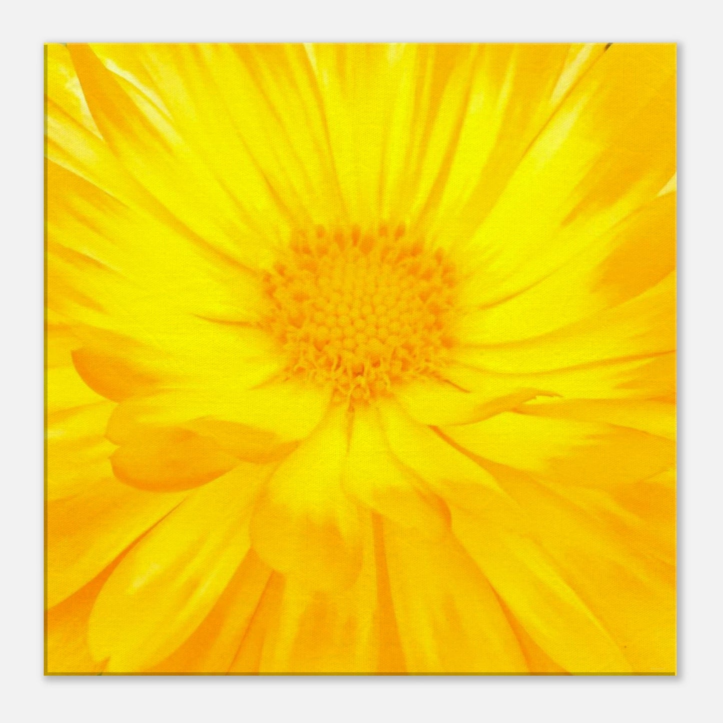 0cd4de5e-4d49-4c20-87d7-ab83dfb8267d