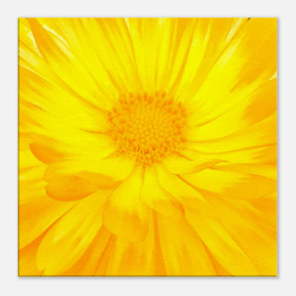 0cd4de5e-4d49-4c20-87d7-ab83dfb8267d