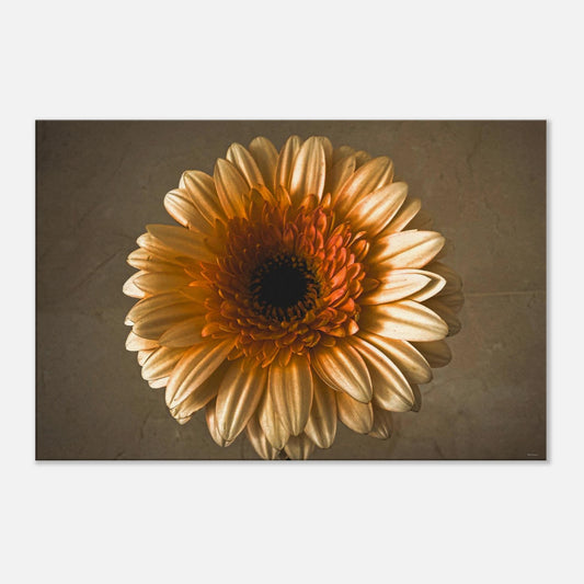 0cd84458-22af-4f27-b5c3-83d777fd4495