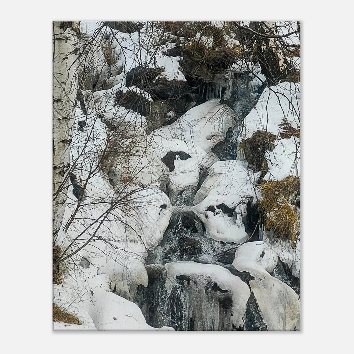 0d0e6b21-b727-4be2-97d0-a4cdd0d8b9b8