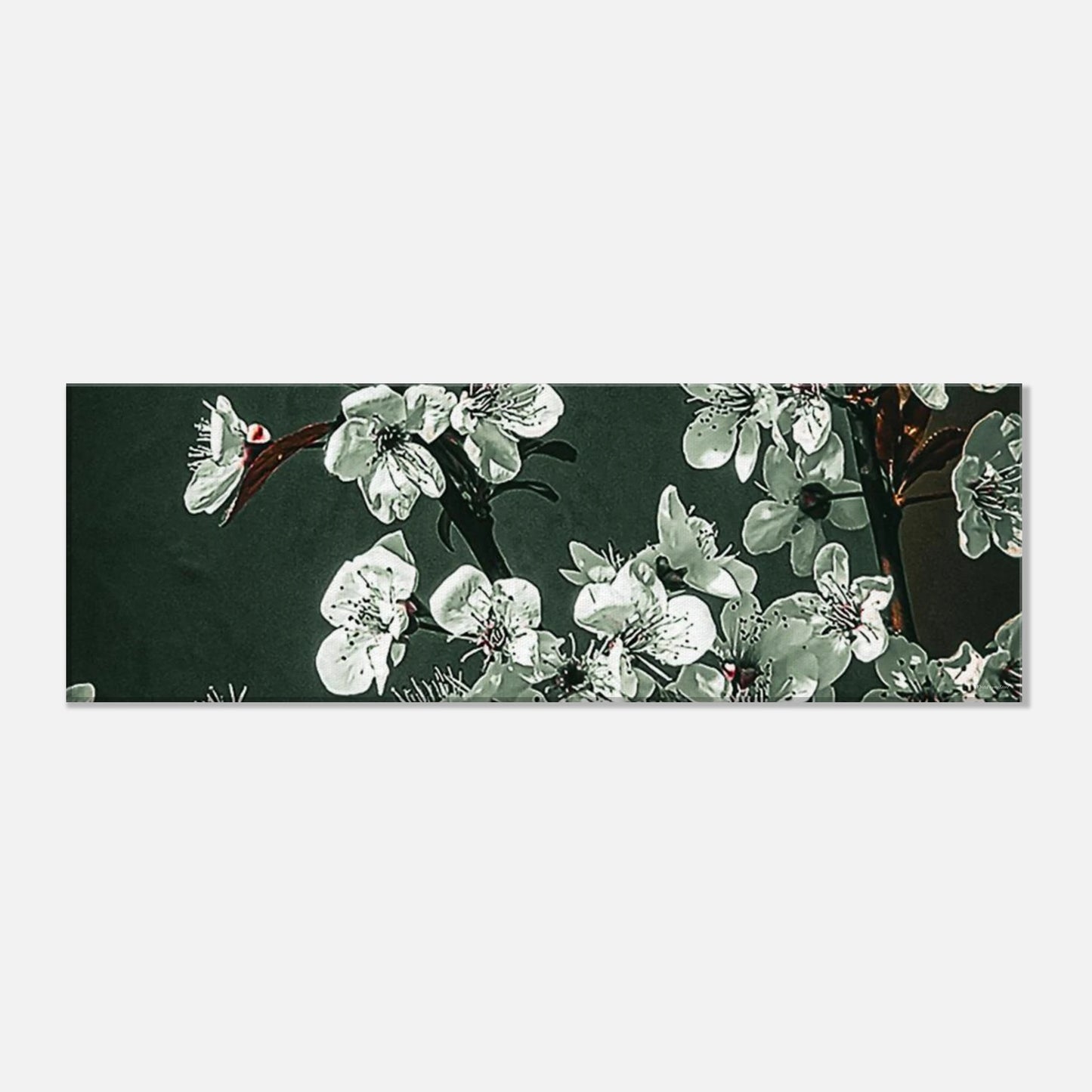 0d9c9a5c-3abc-4672-bdc9-d6eeef907c5b