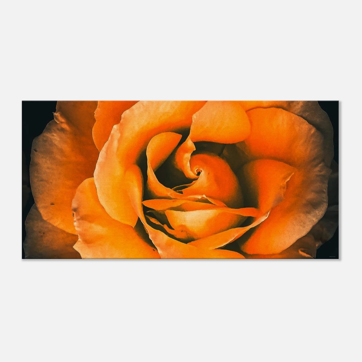 0daa2010-f011-4364-b00a-b6bbc317ad3d