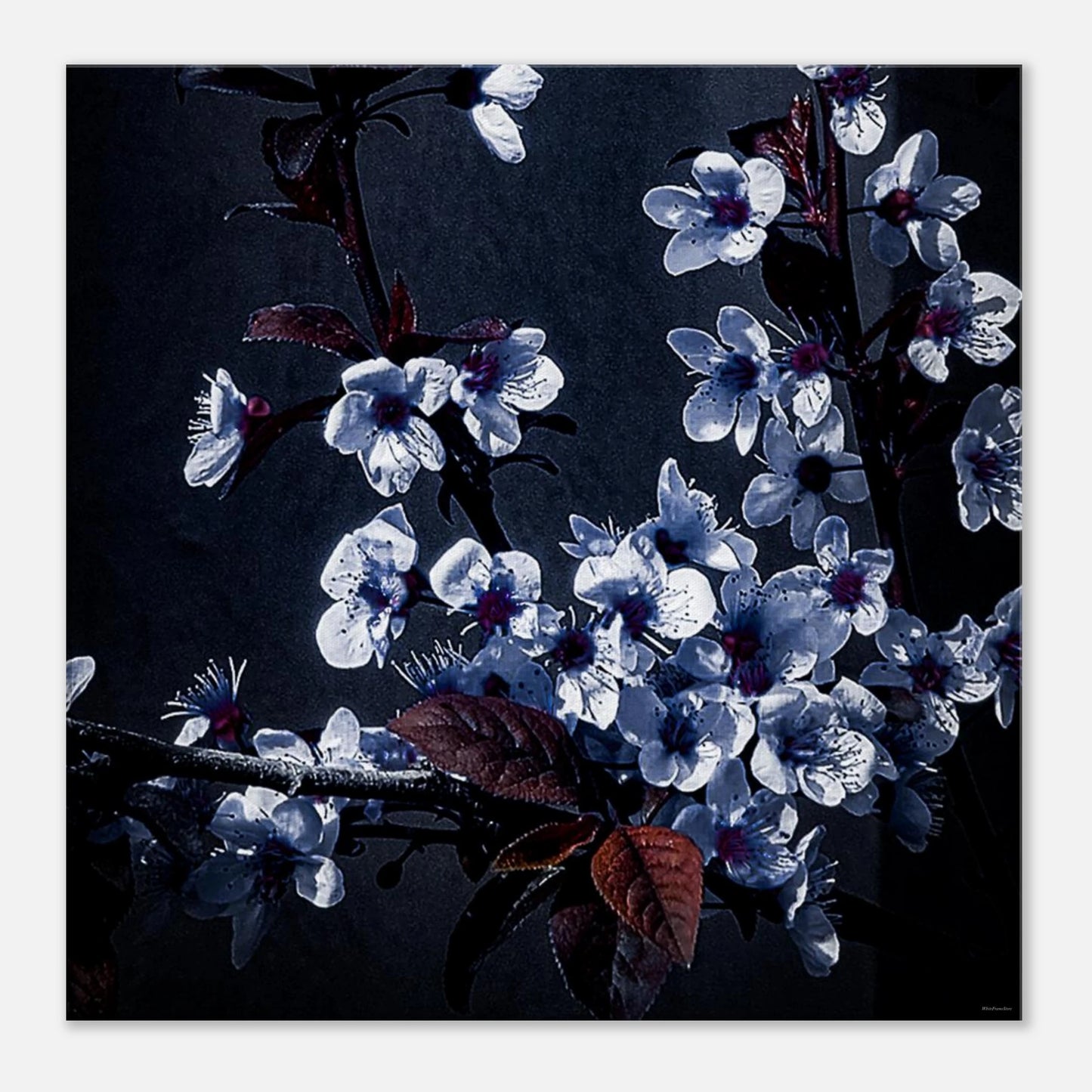 0dc6b365-4eff-4eef-bf03-b32b461dd7b6