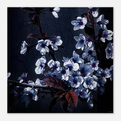 0dc6b365-4eff-4eef-bf03-b32b461dd7b6