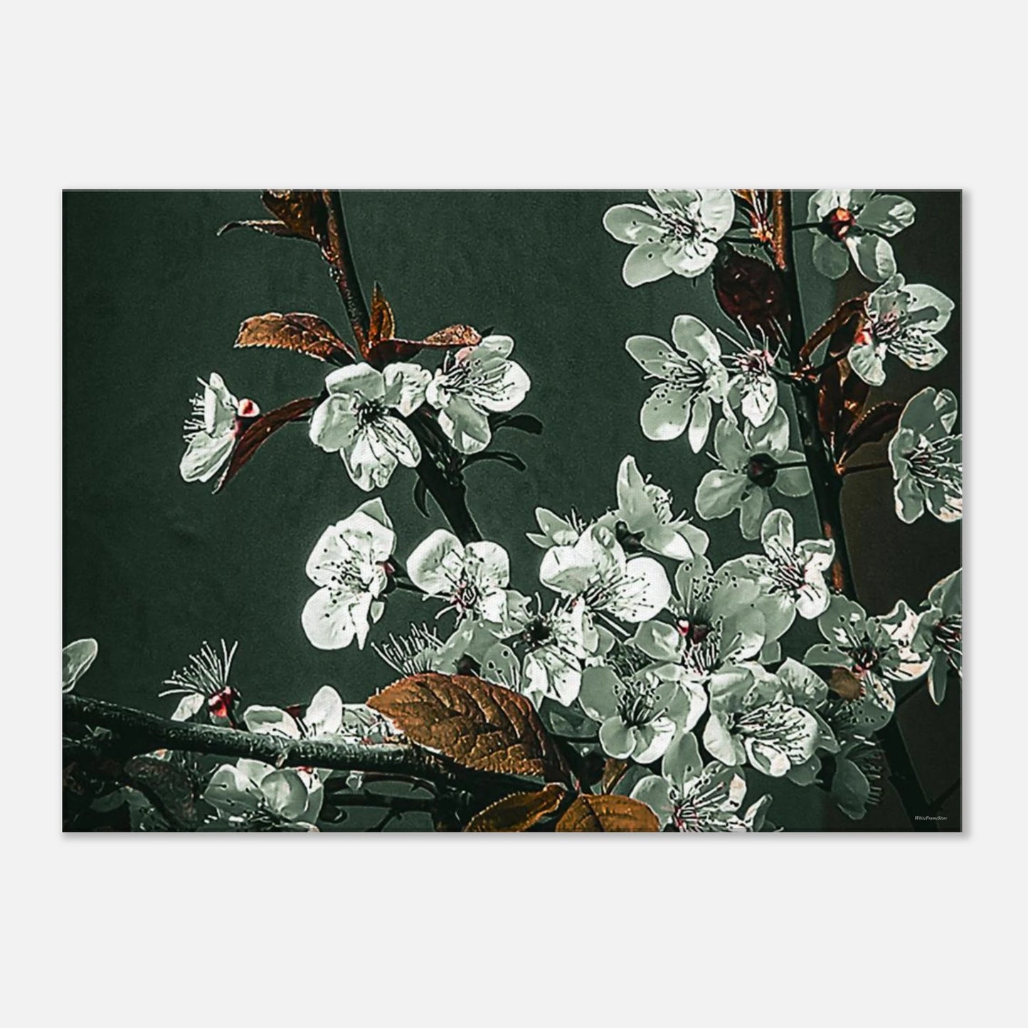 0dcfc524-90cc-412f-a28b-06604795067f