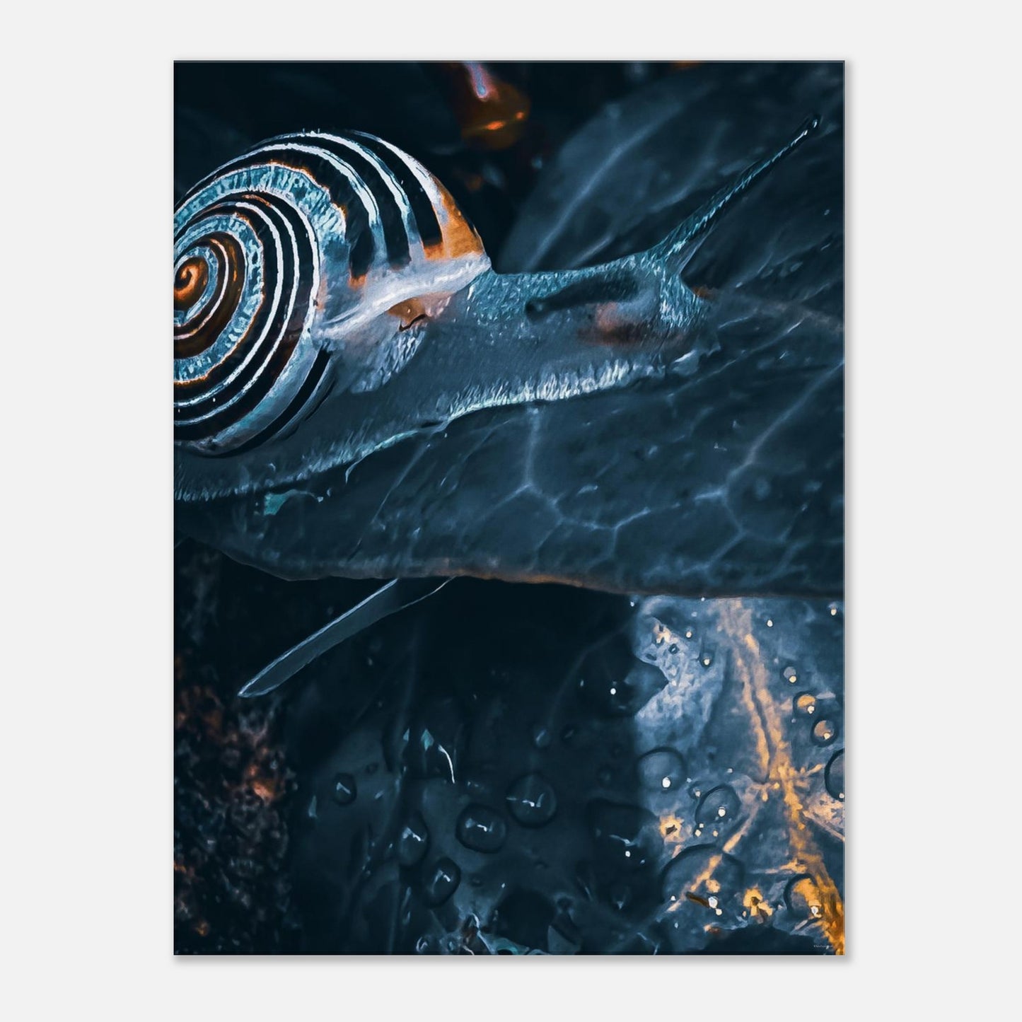 0de8b1e0-37e5-4d18-9aec-3da596af8828