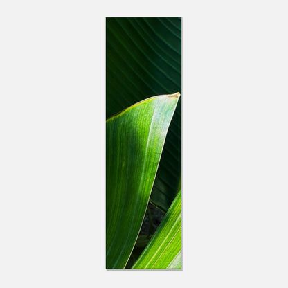 0e09bd3e-e955-4aae-bd66-a25abd3ebf59