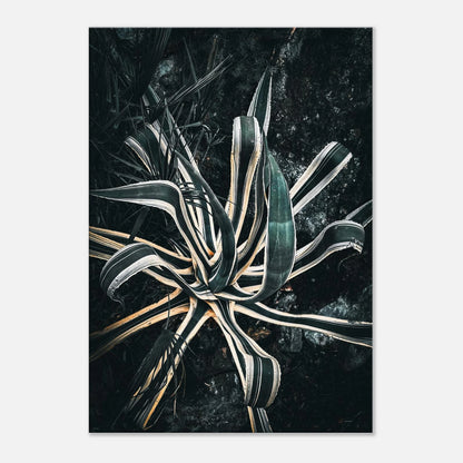 0e3add0c-4255-495b-b1ef-df067f75d8c1