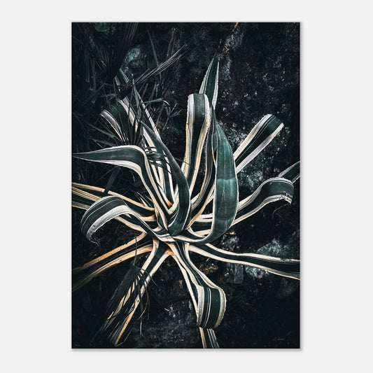 0e3add0c-4255-495b-b1ef-df067f75d8c1