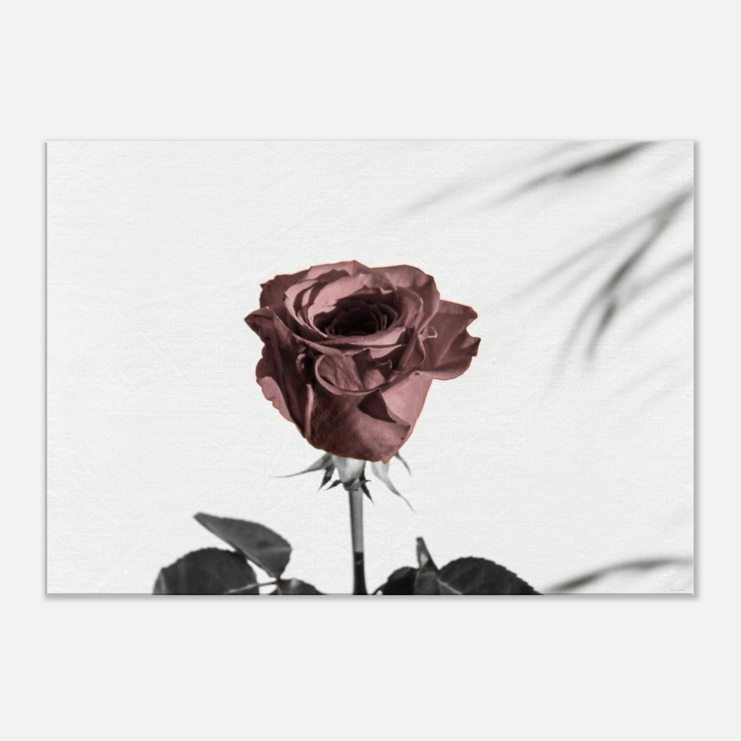 0e577b97-d824-413c-98e5-f3215df4039c