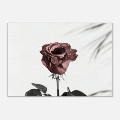 0e577b97-d824-413c-98e5-f3215df4039c