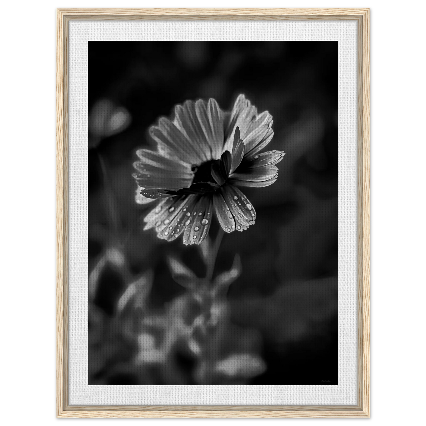 0e5ea02c-d89b-4ddf-bfe9-b298658be7b4