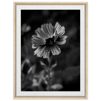 0e5ea02c-d89b-4ddf-bfe9-b298658be7b4