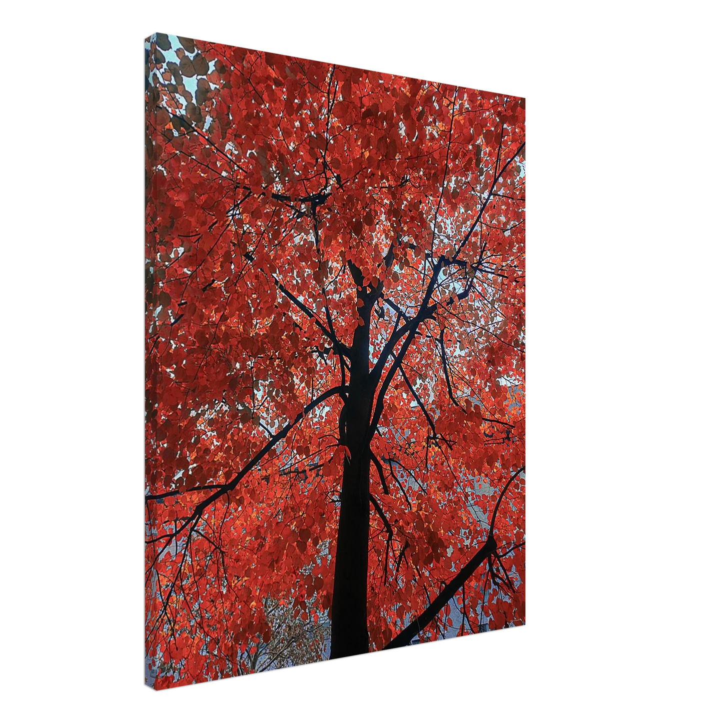 0eb34be9-6d11-47ff-aadc-1ca6aad5df95