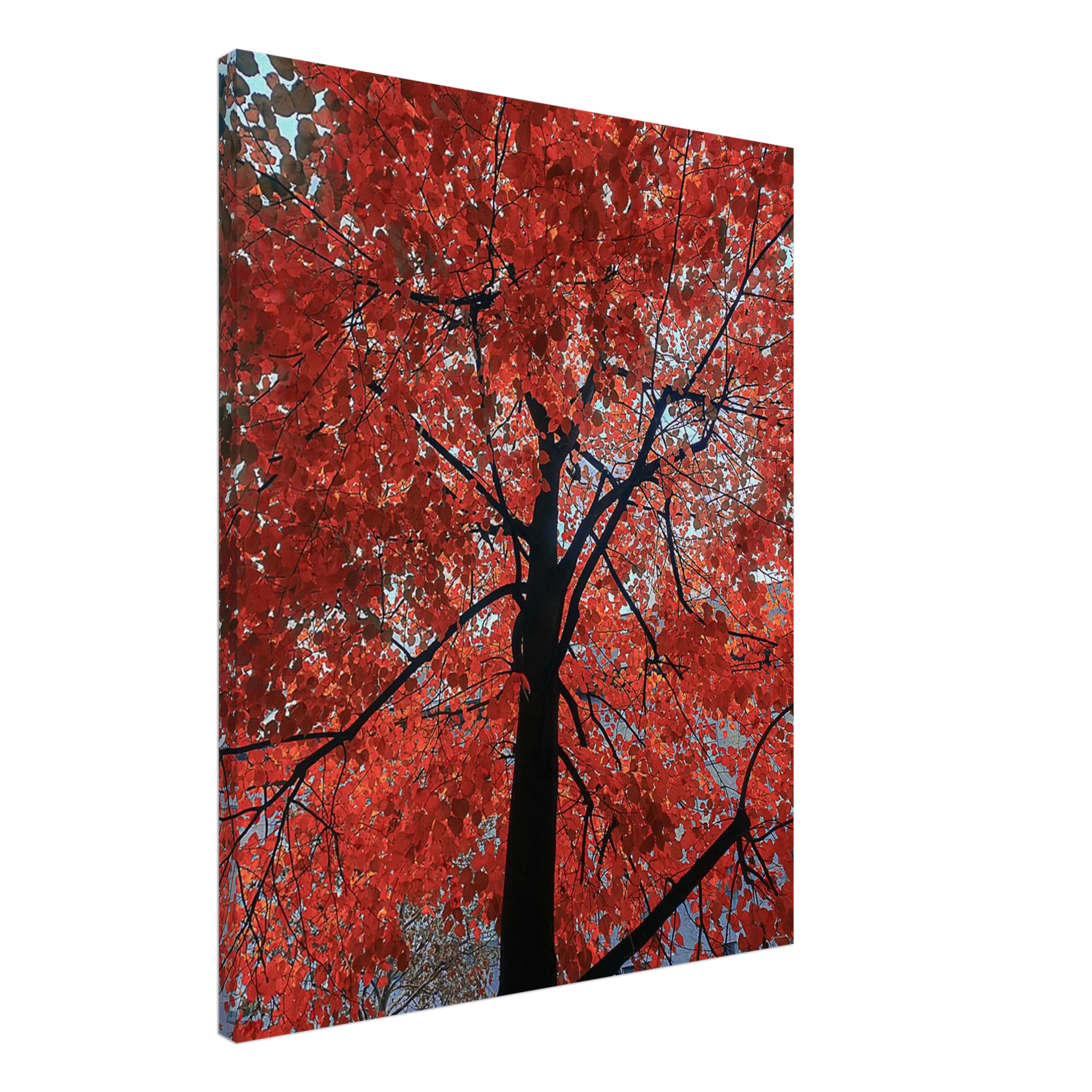 0eb34be9-6d11-47ff-aadc-1ca6aad5df95