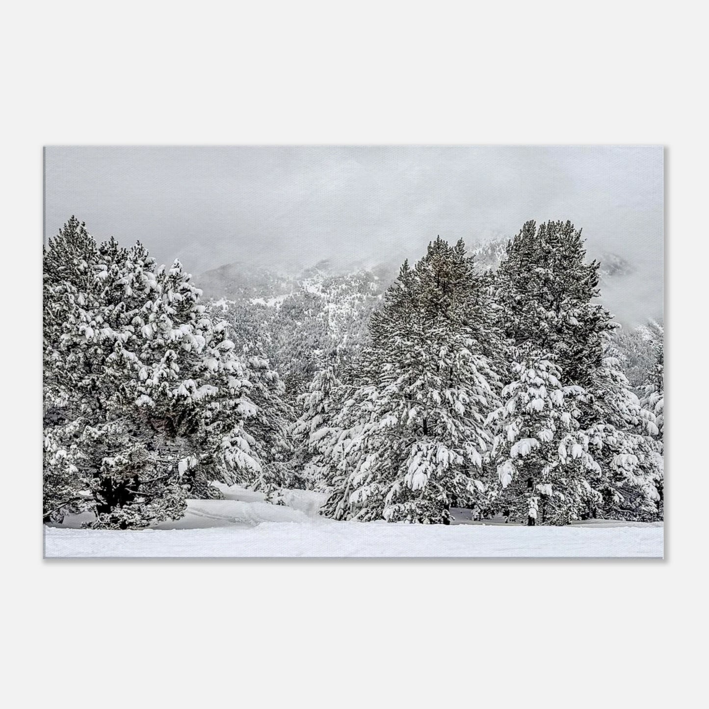 0ee2bc2c-b35b-4ffb-ac10-242d47109d09