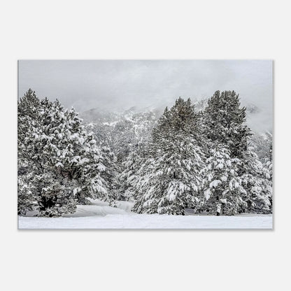 0ee2bc2c-b35b-4ffb-ac10-242d47109d09