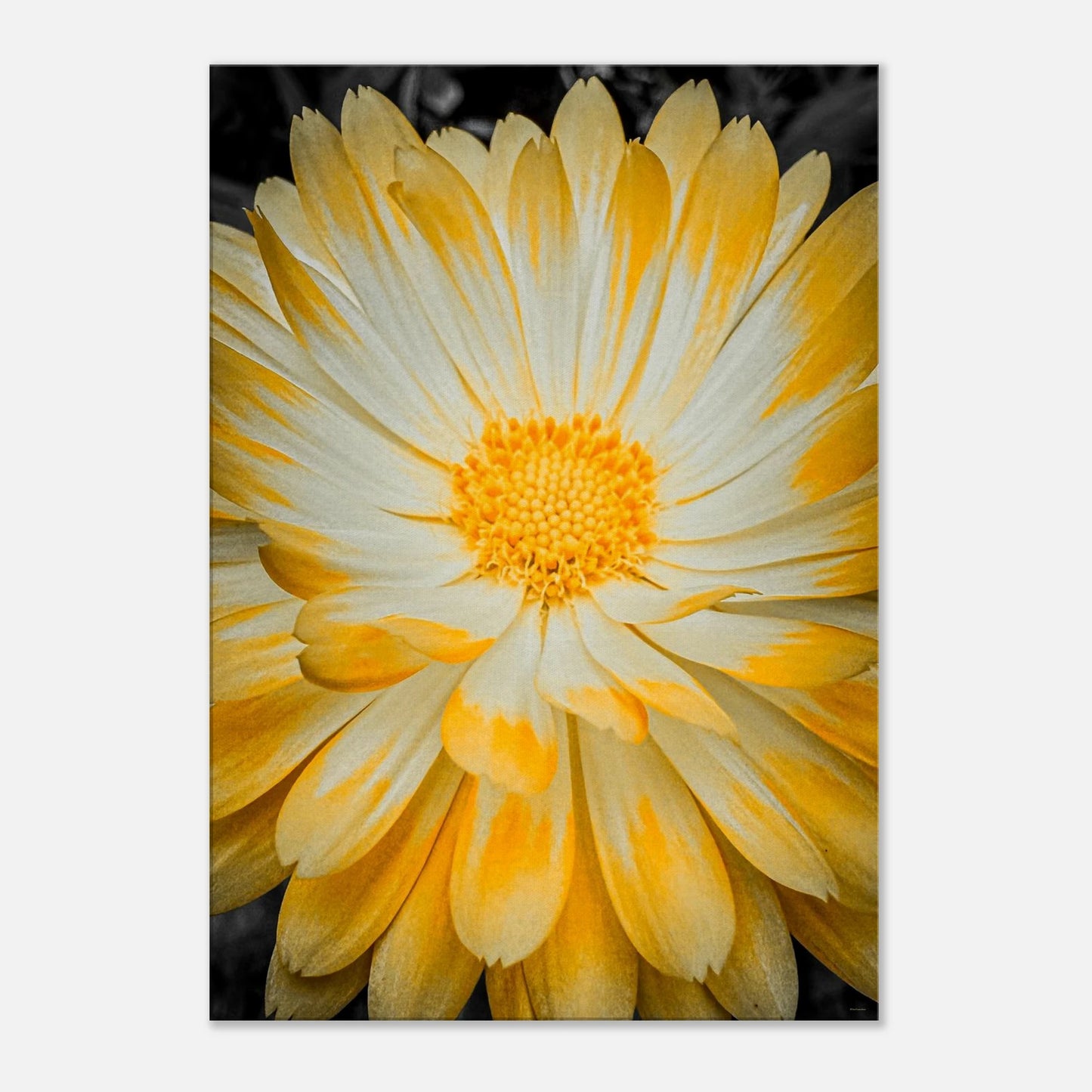 0f0781f0-4bf3-4929-84a6-d96b3eec504f