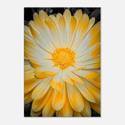 0f0781f0-4bf3-4929-84a6-d96b3eec504f