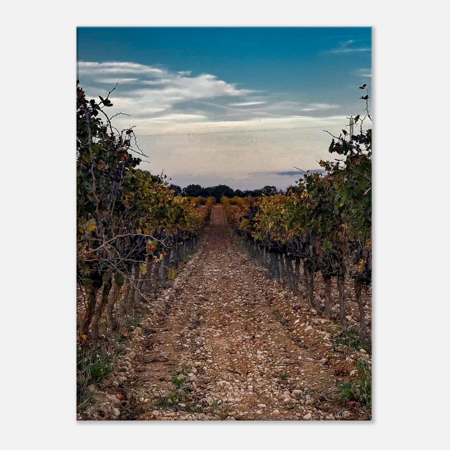 0f0c66d7-e101-4f18-a565-d57ff895bebf