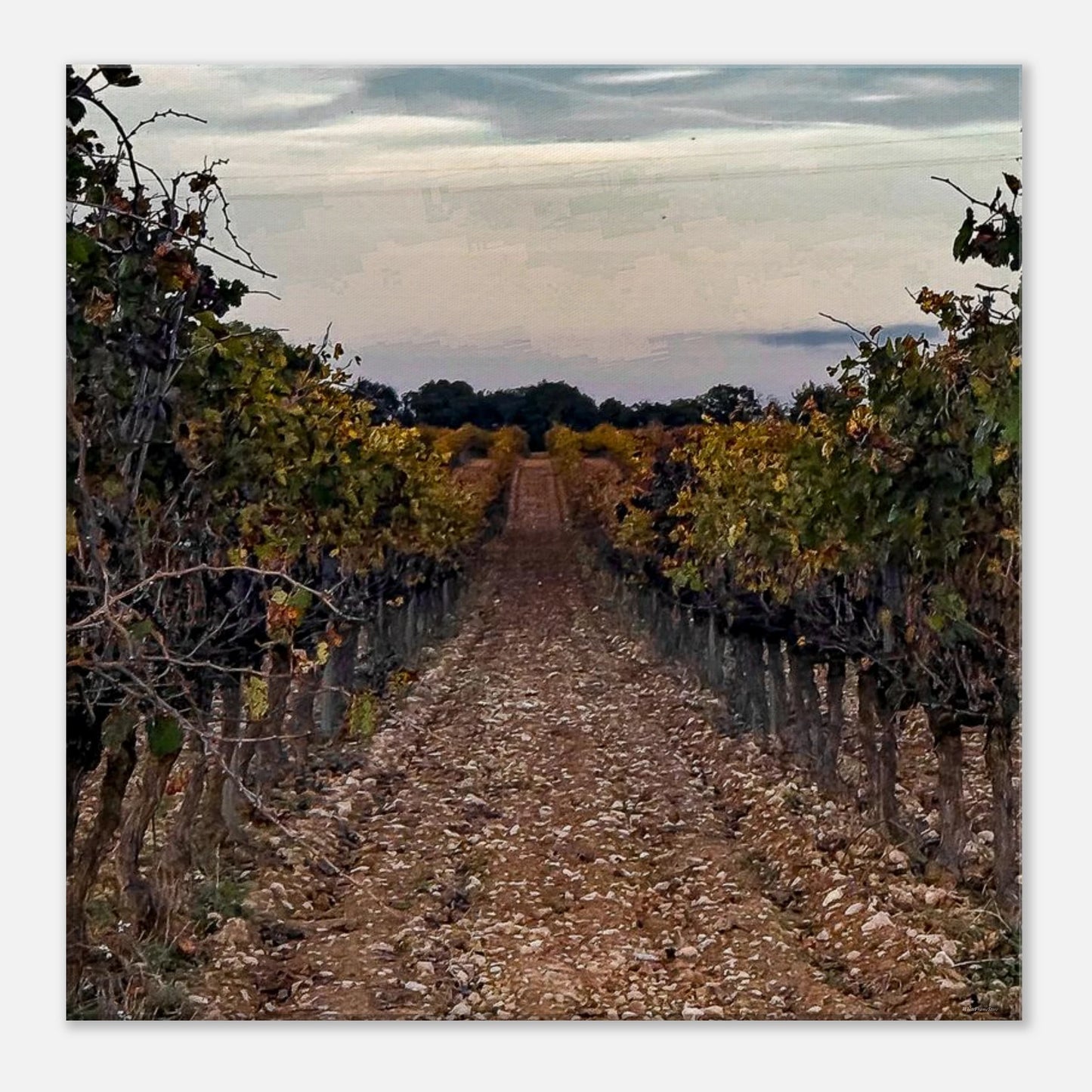 0f5d7da9-842f-4bab-8106-9fd9d8d0d30c