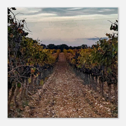 0f5d7da9-842f-4bab-8106-9fd9d8d0d30c