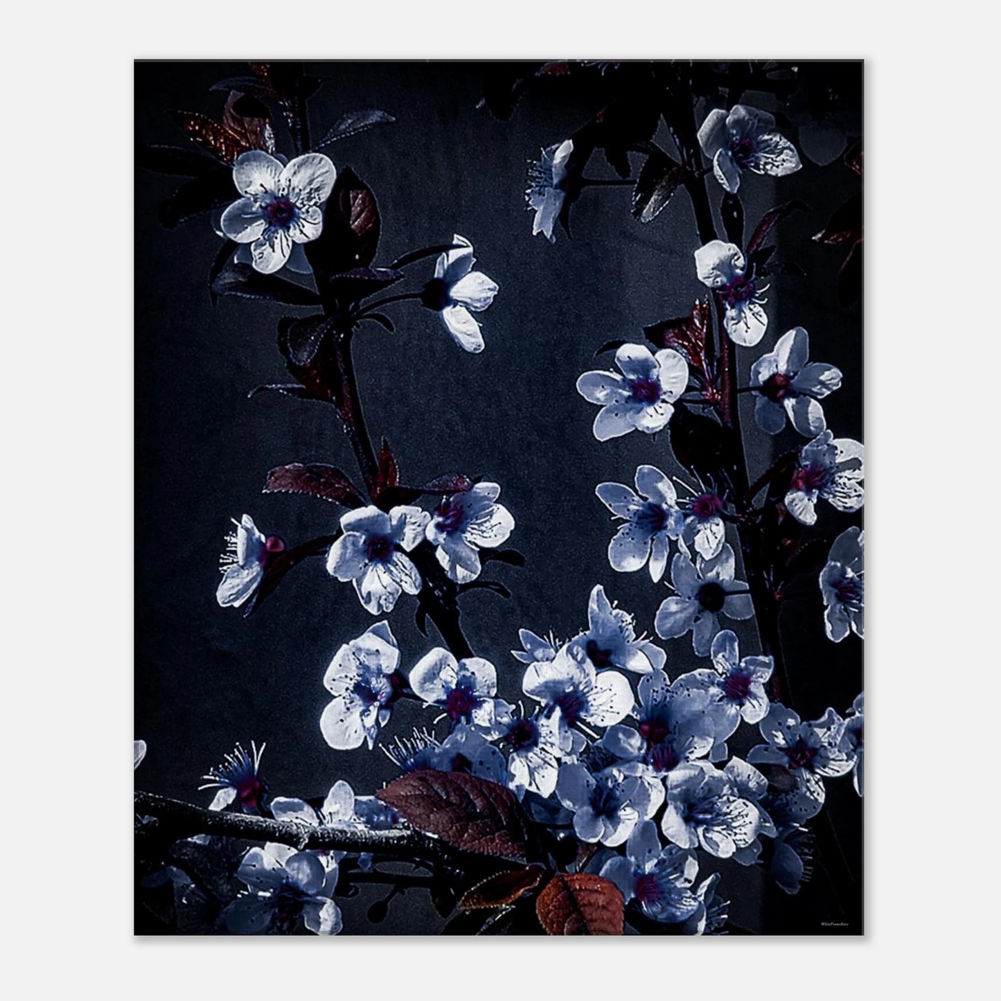 0fda8147-efe1-42ca-9d83-0b339037c025