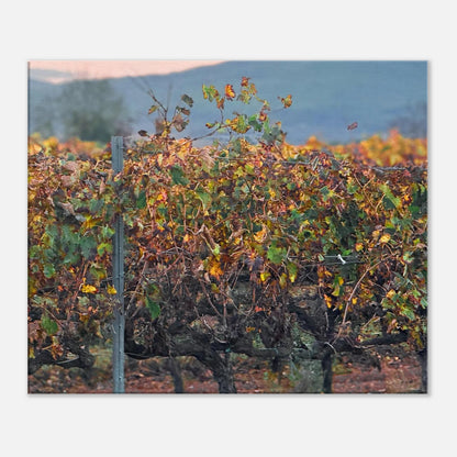 1046a39f-2410-4b77-aa79-a647bb534aa8