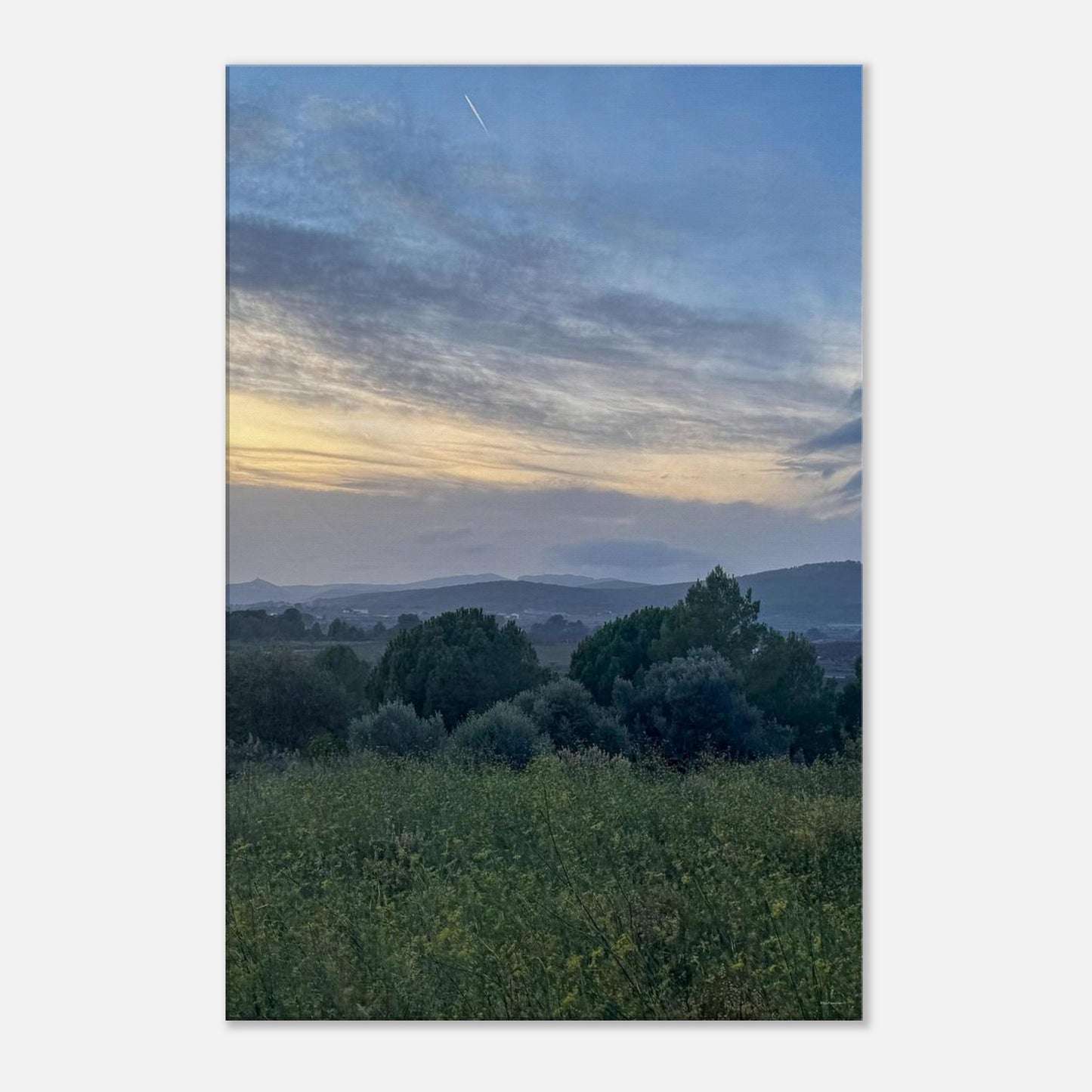 107369b4-7085-48ca-95c6-692140f41f23