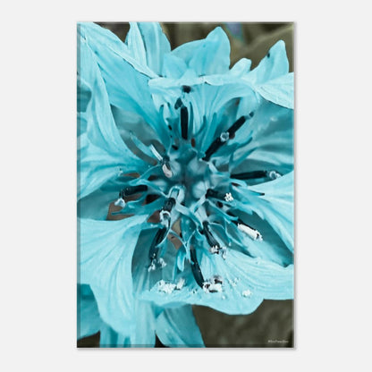 107e034e-e21f-4c44-9c20-44864af79d81