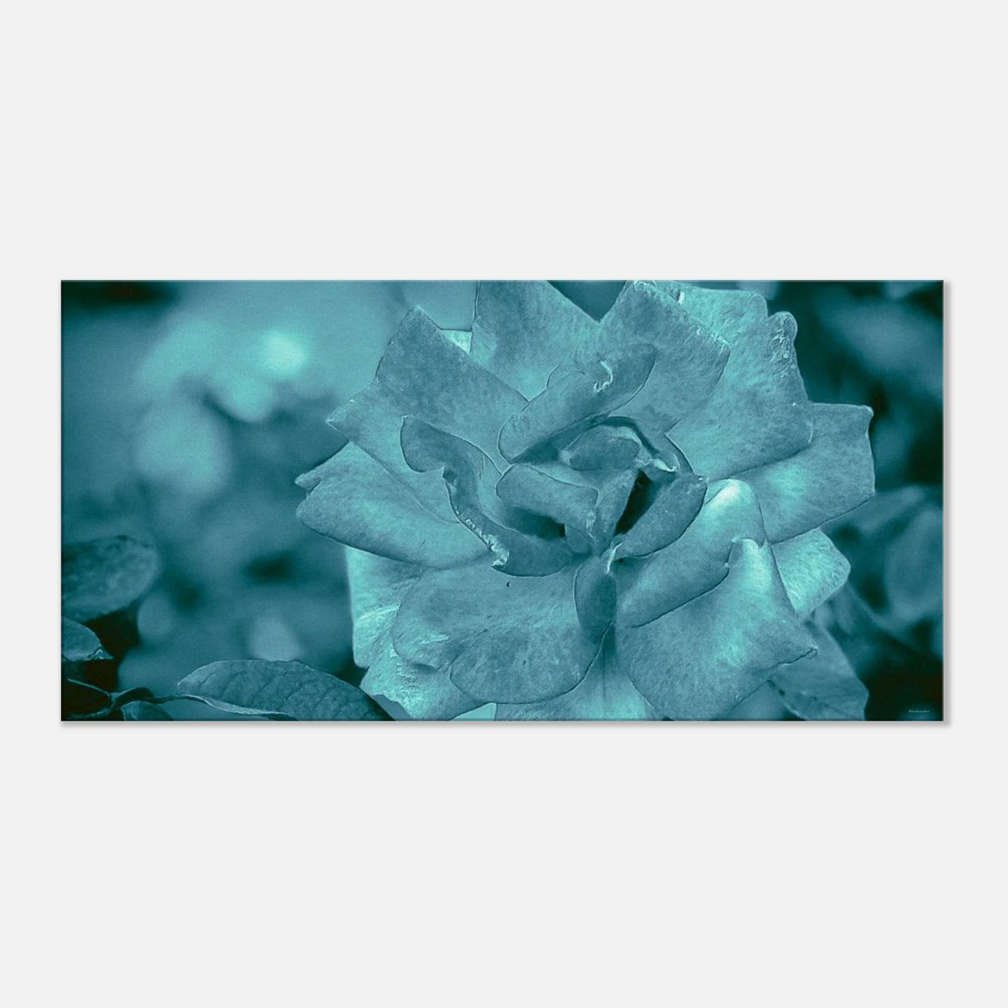 10805871-ecde-42df-89c2-c5de1d4d6047