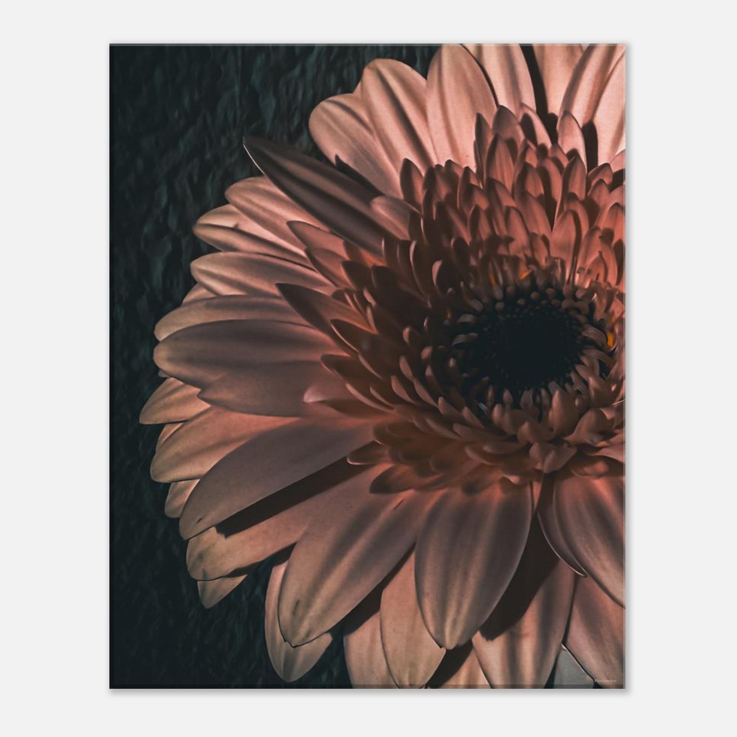 10a4a5ae-3a54-43fd-870e-0bdfaaf4e9e2