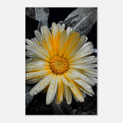 10a54e23-860b-4838-9d43-65f831c70583