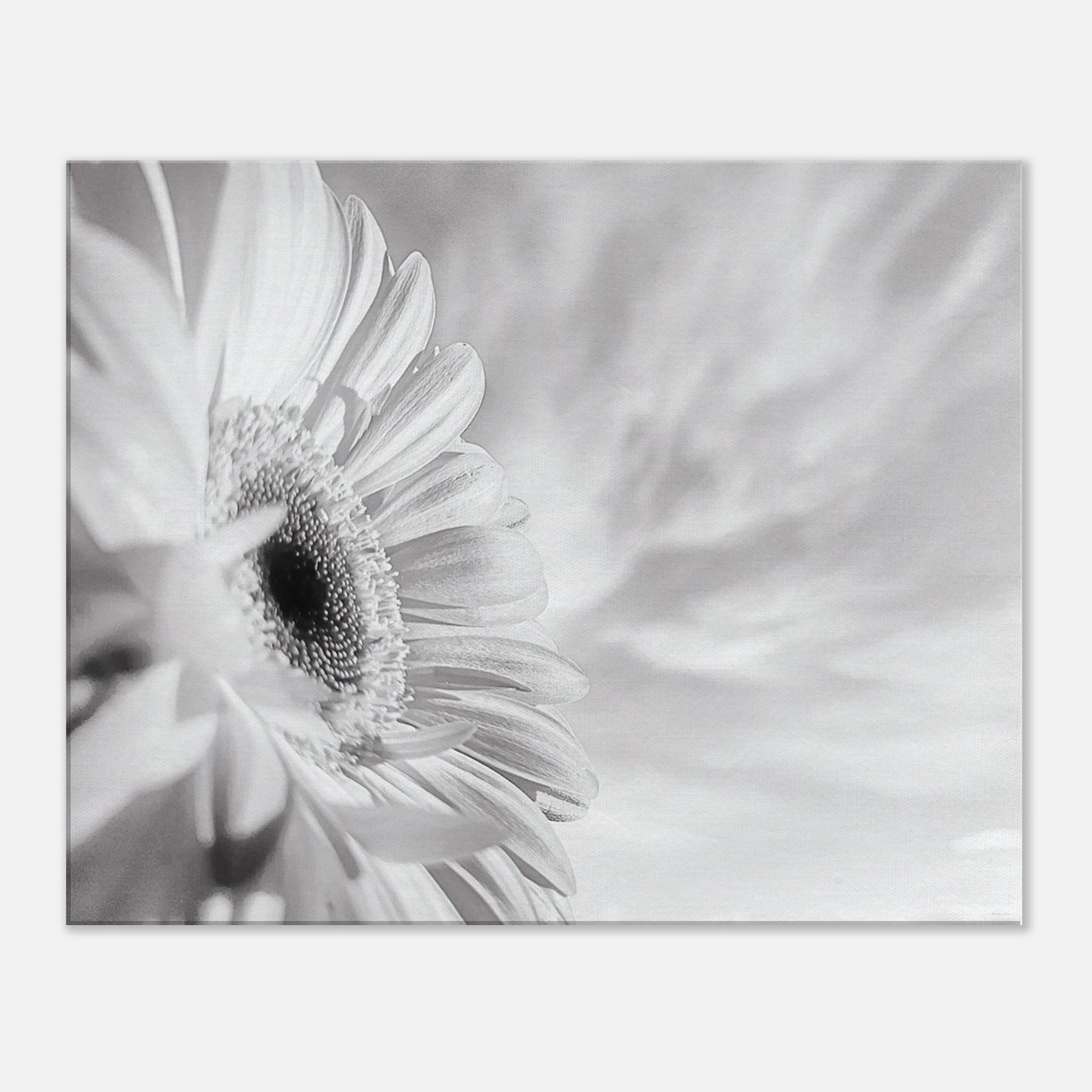 10cf0db9-bc9a-468f-9a3b-ed406f6b3daf