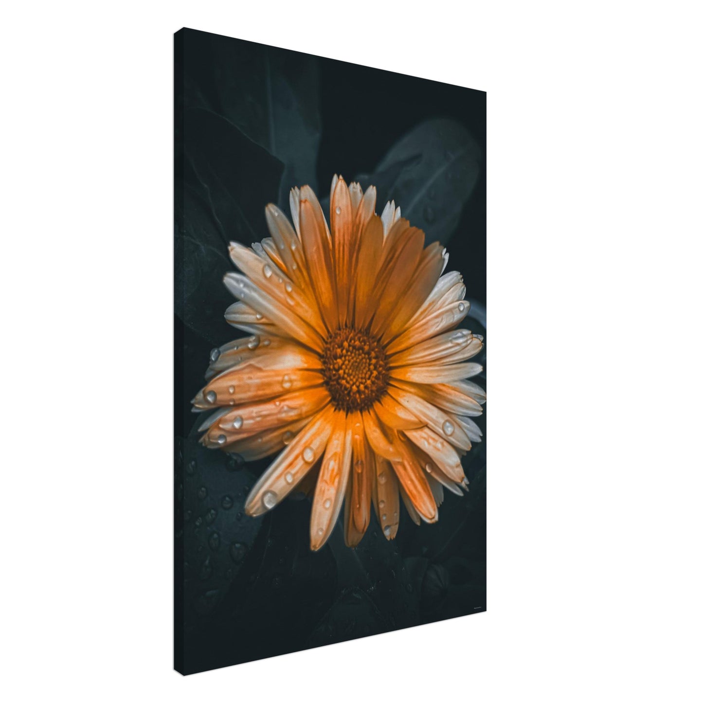 10d9e223-2ff0-4c1f-9820-2e1902ab51b7