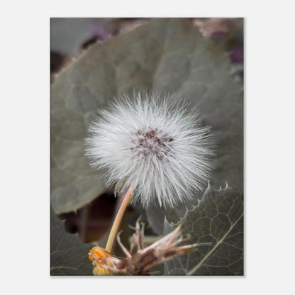 1115d421-c443-4fb7-97fc-1cb67f299401