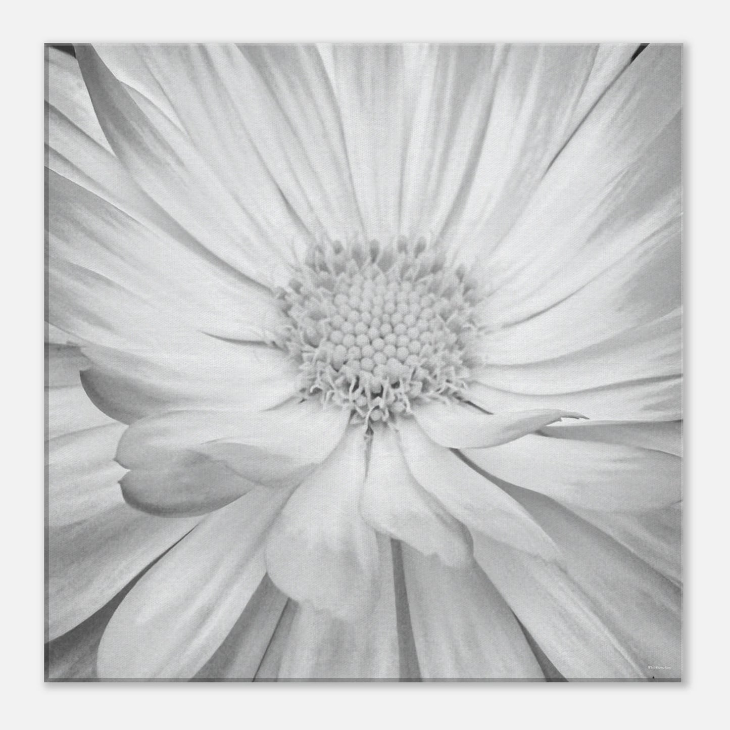 1149bc78-013b-4b7e-9fe7-7a2b22e22c94