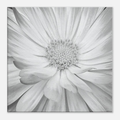 1149bc78-013b-4b7e-9fe7-7a2b22e22c94