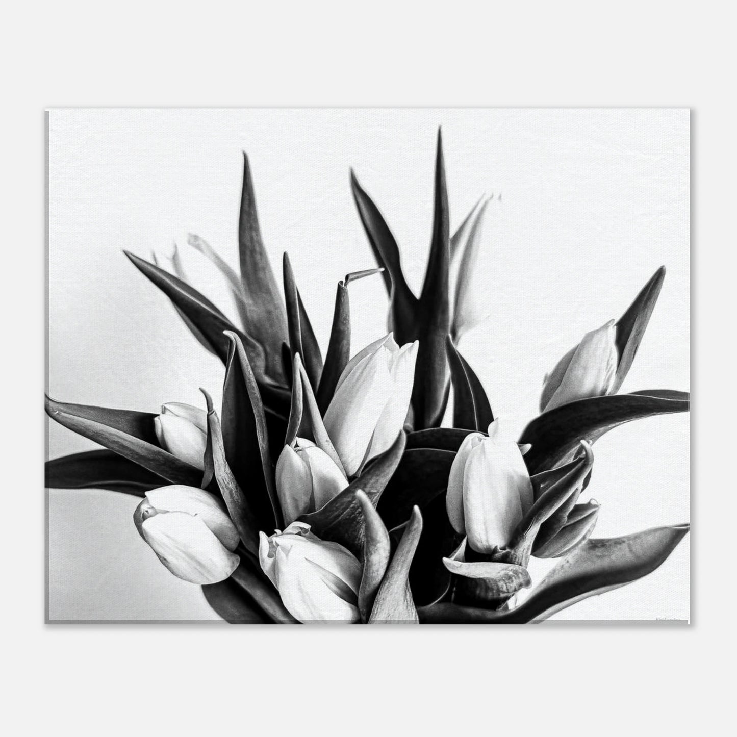 11732b2a-3dce-47df-8c43-02ac3e3ca4fa